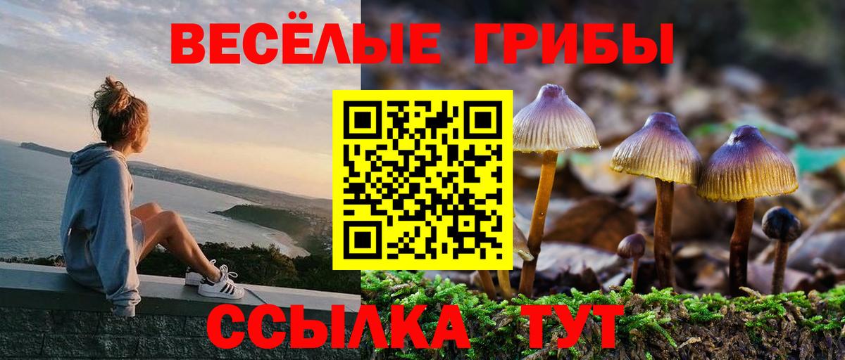 Псилоцибиновые грибы MAGIC MUSHROOMS Ступино