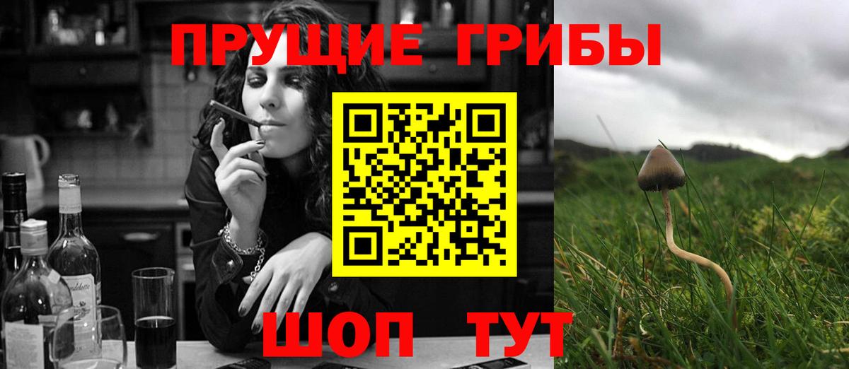 Ступино  Псилоцибиновые грибы MAGIC MUSHROOMS  купить наркотики цена  Вход с VPN 